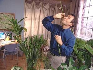 Turn your home into the tropics...