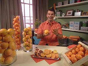 Oranges, Oranges Everywhere!