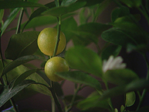 This is where it all starts...