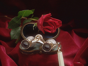 Seeing is Believing!